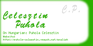 celesztin puhola business card